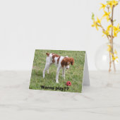 遊びたいと思って下さいか。か。 カード (黄色い花)