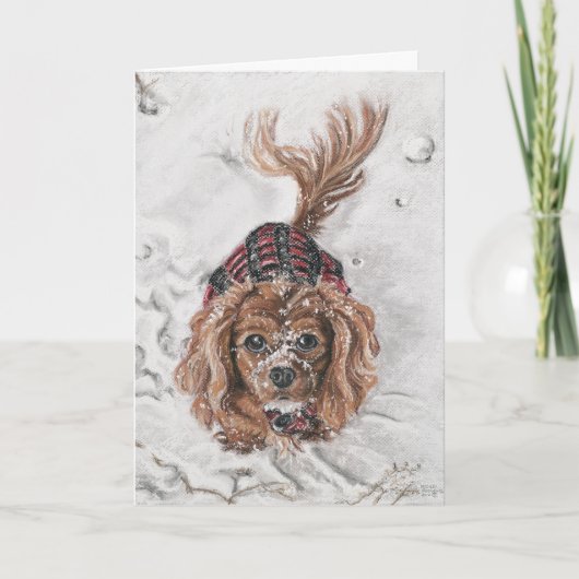 遊びたいと思って下さいか。 シーズンカード (正面)