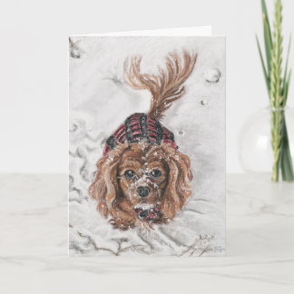 遊びたいと思って下さいか。 シーズンカード