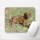 遊びたいと思って下さいか。 マウスパッド (マウス)