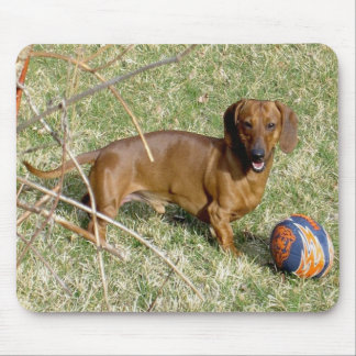 遊びたいと思って下さいか。 マウスパッド