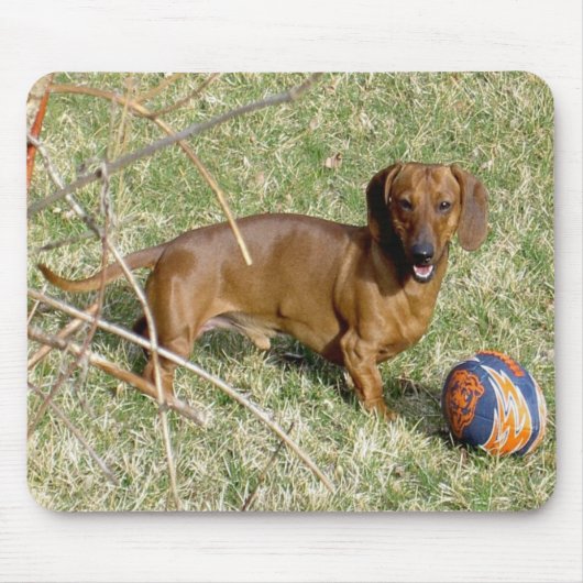 遊びたいと思って下さいか。 マウスパッド (正面)