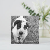 遊びに来ない？ 招待状 (スタンド正面)