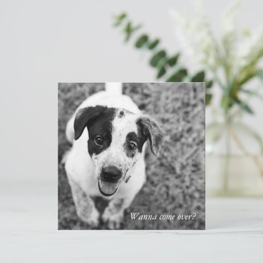 遊びに来ない？ 招待状 (スタンド正面)