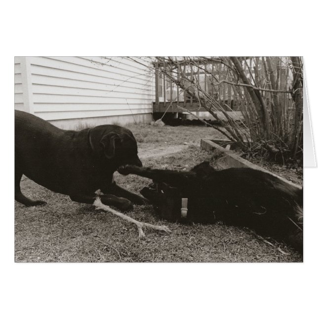 遊び仲間 (正面横)