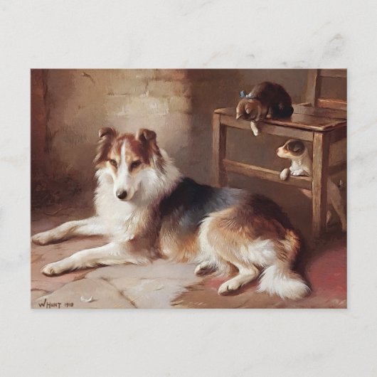 遊び仲間 – 犬の子猫 – 子犬 ポストカード (正面)