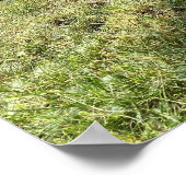 遊び場キディバイク ポスター (角)