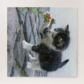 遊び心あふれる子猫 ジグソーパズル (横)