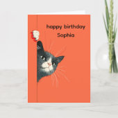 遊び心あふれる猫の誕生日グリーティングカード カード (正面)