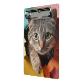 遊び心のあるタビー猫が破れた紙から顔を出す ミニクリップボード (アングル2)
