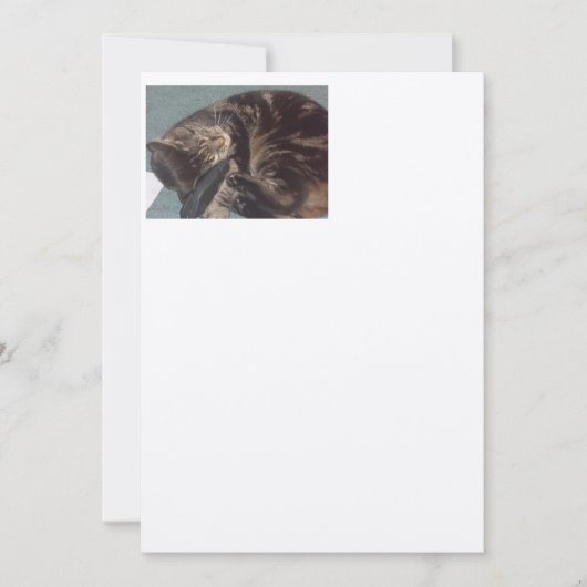 遊び心のあるデイヴ職人：オフホワイトのフェルト招待状 招待状 (正面)