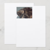 遊び心のあるデイヴ職人：オフホワイトのフェルト招待状 招待状 (正面/裏面)