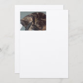 遊び心のあるデイヴ職人: フェルト・エクリュー・招待状 招待状 (正面/裏面)