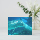 遊び心のあるドルフィンポストカード ポストカード (スタンド正面)
