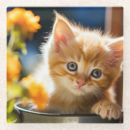 遊び心のある甘い子猫 ガラスコースター