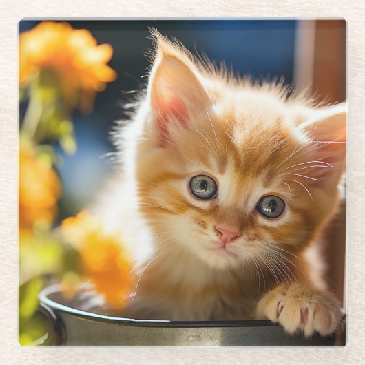 遊び心のある甘い子猫 ガラスコースター (正面)