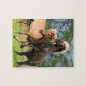 遊び、育てているアイスランドの馬 ジグソーパズル (横)