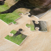 遊び、育てているアイスランドの馬 ジグソーパズル (側面)