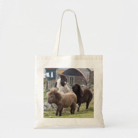 遊ぶシェトランド諸島子馬の子馬-有用なバッグ トートバッグ (正面)