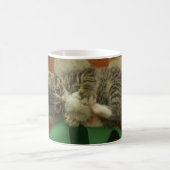 遊ぶ子猫 コーヒーマグカップ (中央)