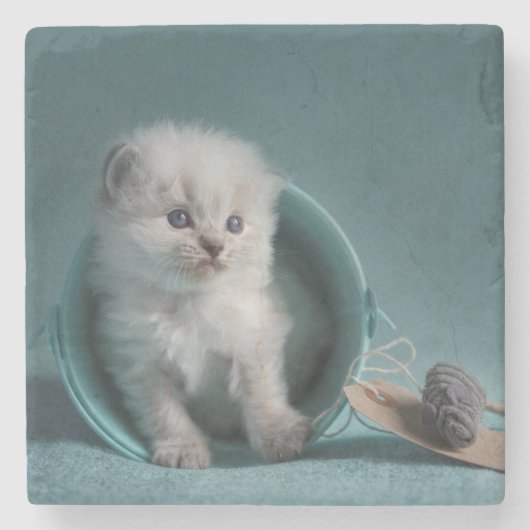 遊ぶ時間 ストーンコースター (正面)