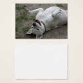 遊アルゼンチンのドゴ (正面&裏面)