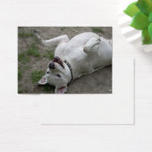 遊アルゼンチンのドゴ (デスク)