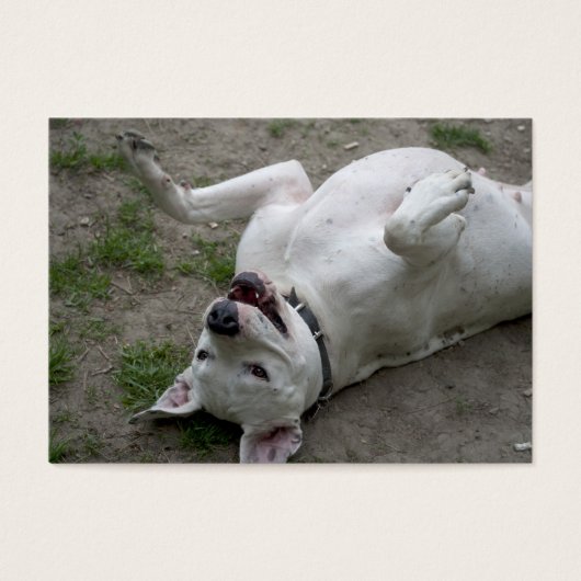 遊アルゼンチンのドゴ (正面)