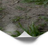 遊アルゼンチンのドゴ ポスター (コーナー)