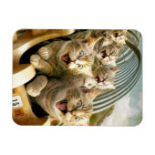 遊園地の猫。 マグネット (横)