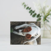 遊懸命 ポストカード (スタンド正面)