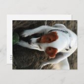 遊懸命 ポストカード (正面/裏面)