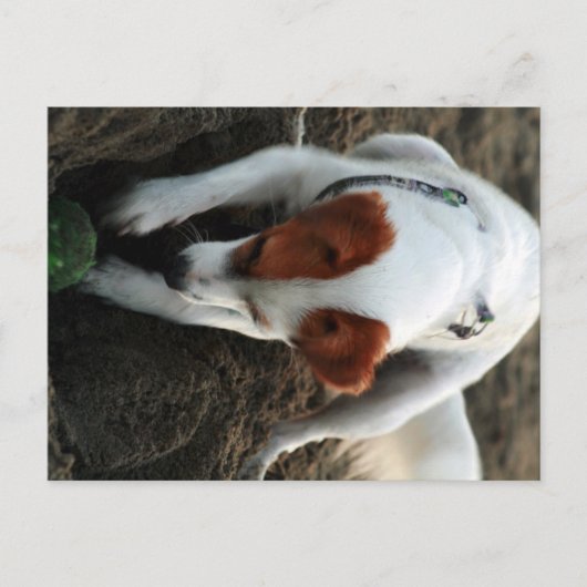 遊懸命 ポストカード (正面)