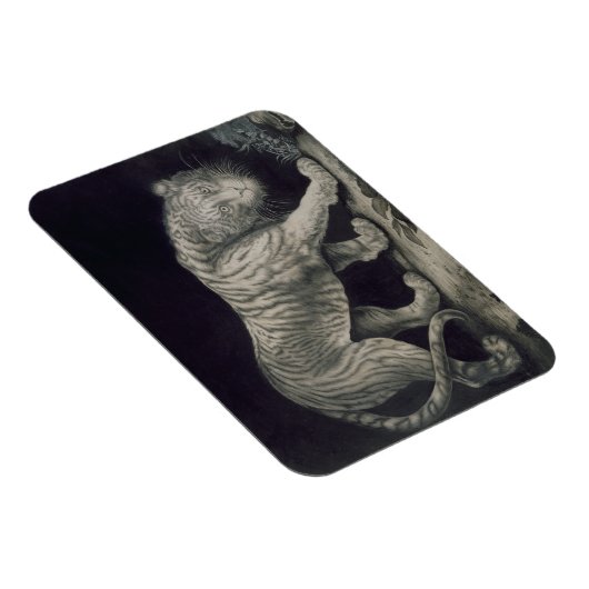 遊戯の虎 マグネット (右側)