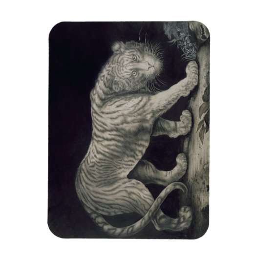 遊戯の虎 マグネット (縦)