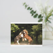 遊日の入り ポストカード (スタンド正面)