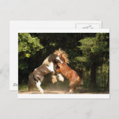 遊日の入り ポストカード (正面/裏面)