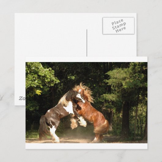 遊日の入り ポストカード (正面/裏面)