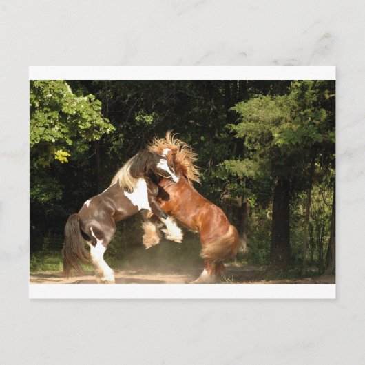 遊日の入り ポストカード (正面)