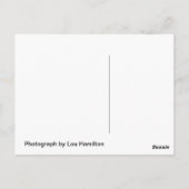 遊日 ポストカード (裏面)