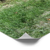 遊歩道の芝生 ポスター (角)