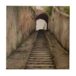 遊歩道イタリアンセラミックタイル塗装機 タイル