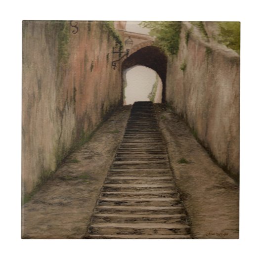 遊歩道イタリアンセラミックタイル塗装機 タイル (正面)