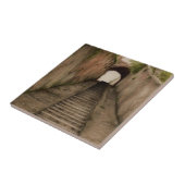 遊歩道イタリアンセラミックタイル塗装機 タイル (側面)