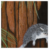 遊灰色リス ファブリック (見本)