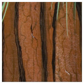 遊灰色リス ファブリック (クローズアップ)