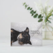 遊華葉書 ポストカード (スタンド正面)