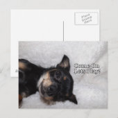 遊華葉書 ポストカード (正面/裏面)