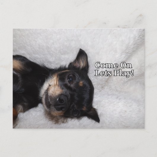 遊華葉書 ポストカード (正面)