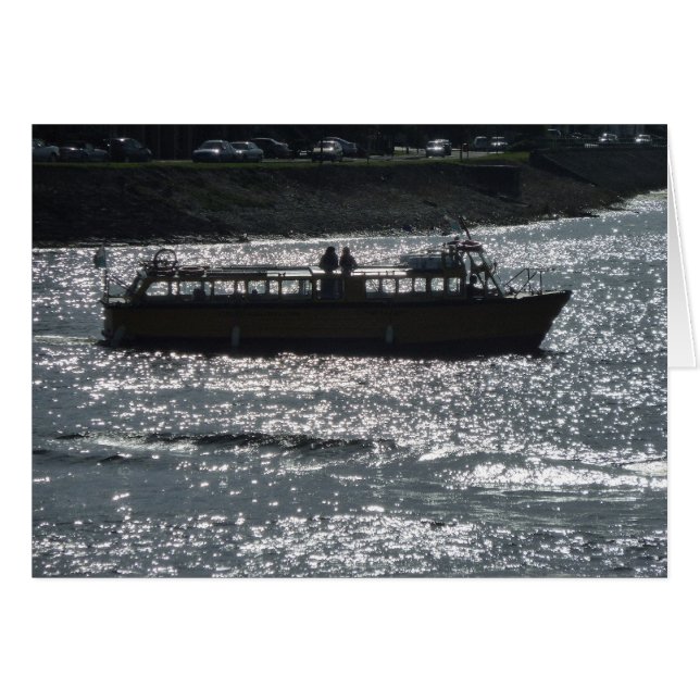 遊覧船 (正面横)